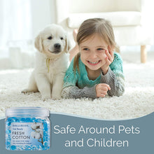 Load image into Gallery viewer, Air Freshener (6 Pack)