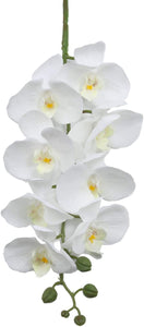 Silk Orchids Pack of 4