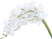 Load image into Gallery viewer, Silk Orchids Pack of 4