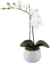 Load image into Gallery viewer, Artificial Flower in Ceramic Pot