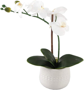 Artificial Flower in Ceramic Pot