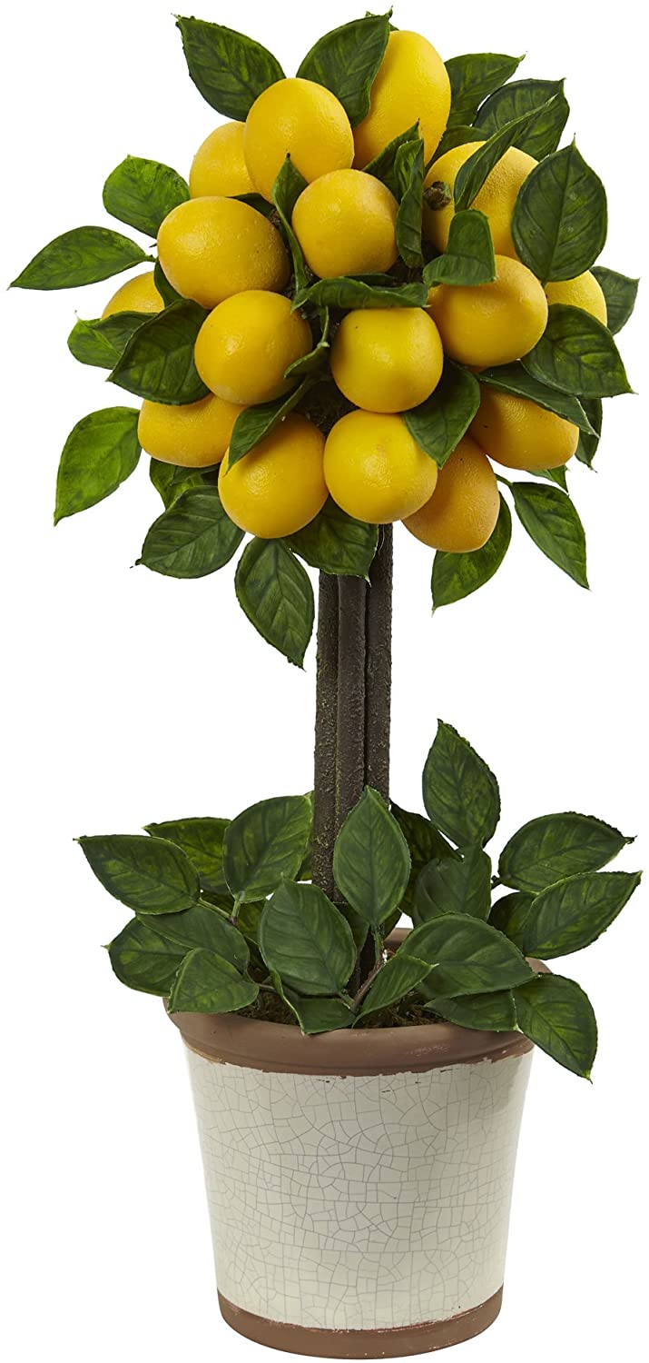 Natural Lemon Ball Arrangement