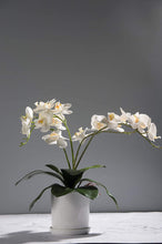 Load image into Gallery viewer, Orchids Leaves 6 PCS