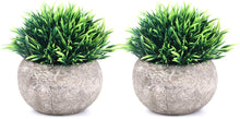 Load image into Gallery viewer, 2 Pcs Small Artificial Faux Greenery (Potted Plants)
