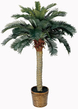 Load image into Gallery viewer, Silk Palm Tree