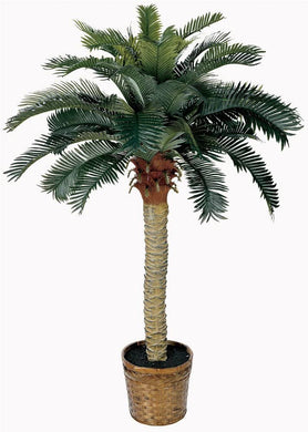 Silk Palm Tree
