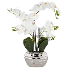 Load image into Gallery viewer, 23&quot; H Faux Orchid in Ceramic Pot