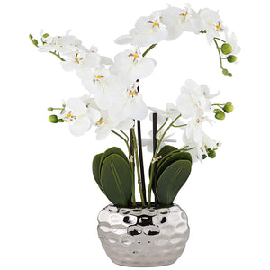 23" H Faux Orchid in Ceramic Pot
