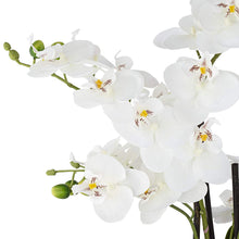 Load image into Gallery viewer, 23&quot; H Faux Orchid in Ceramic Pot