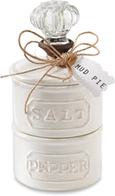 Load image into Gallery viewer, Glam Salt Cellar Set
