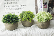 Load image into Gallery viewer, 2 Pcs Small Artificial Faux Greenery (Potted Plants)