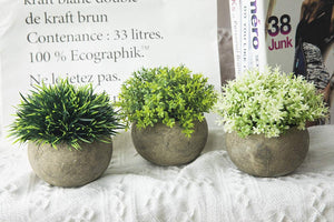 2 Pcs Small Artificial Faux Greenery (Potted Plants)