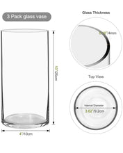 Load image into Gallery viewer, 3 Pack Glass Cylinder Vases