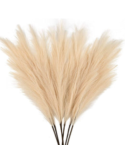 Faux Pampas Grass (7-Pcs)